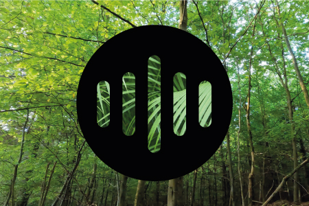 Nature Immersions Cinematic Soundscapes